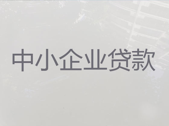 安庆中小企业贷款中介公司